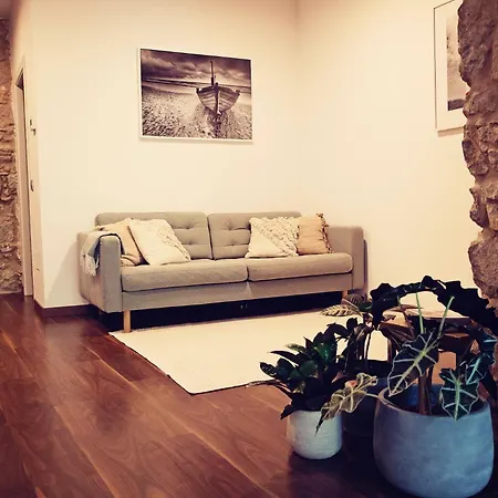 The Riverside Cozy And Spacious Apartment Girona
